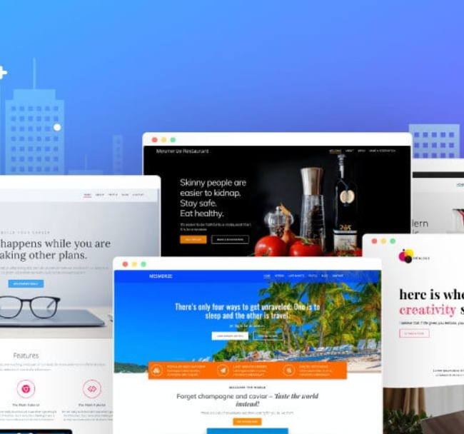 Website Screenshot 1